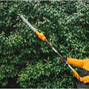 Cortacerco Podador De Altura Inalámbrico 20v 460mm Ingco Naranja